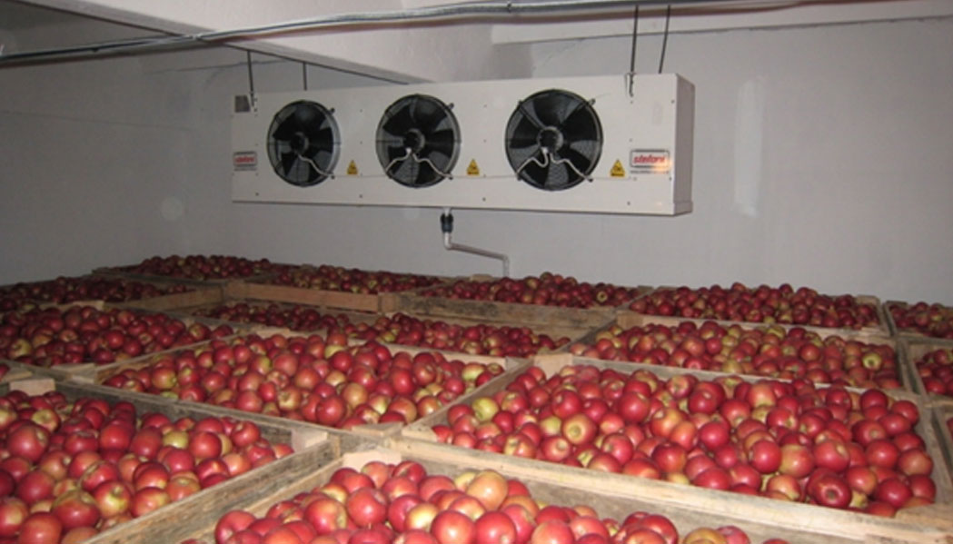 Apple Cold Storage