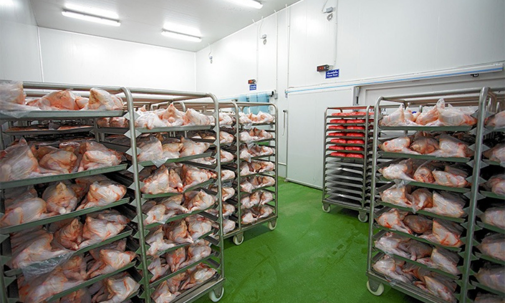 Chicken Cold Storage
