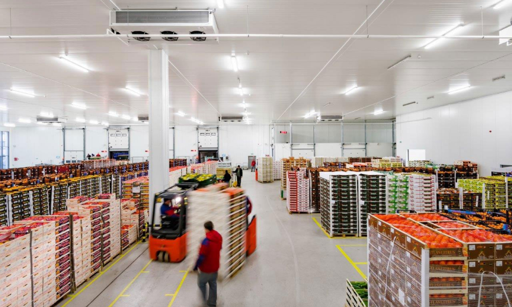 Citrus Fruits Cold Storage