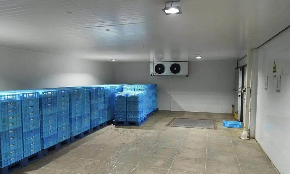 Fish Cold Storage